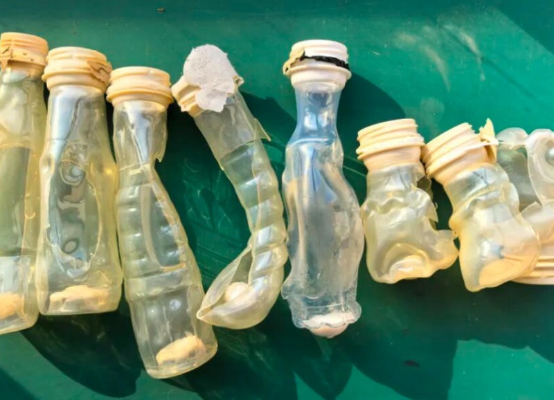 More Than Just Barrier Bottle Removal: DATABEYOND Pioneers Dual-Sensor Fusion Technology
