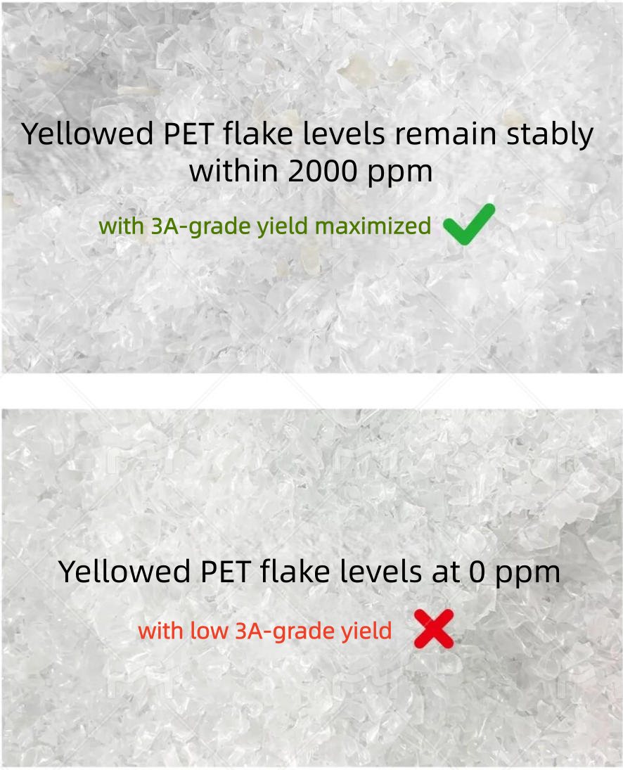 PET flakes washing line