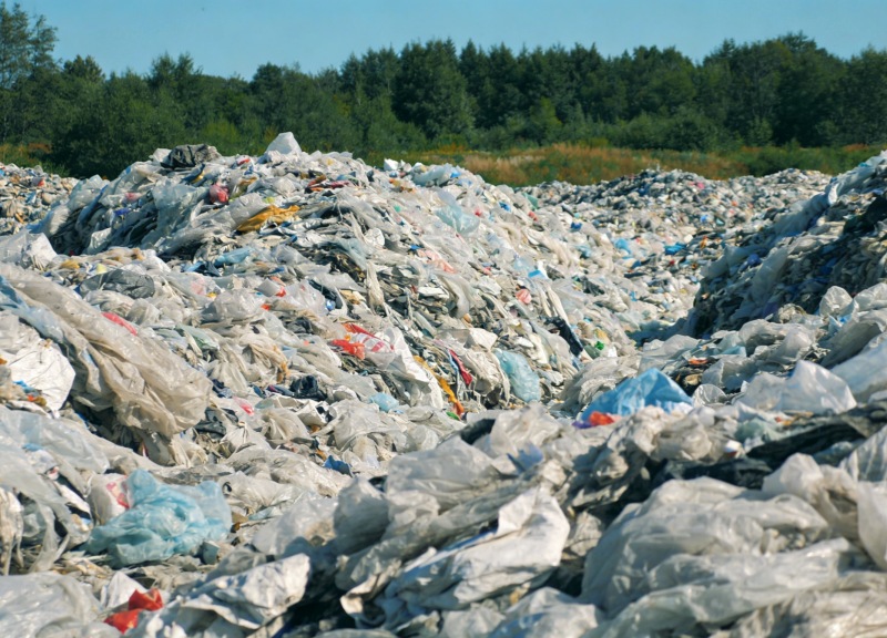 Film Sorting Film Sorting